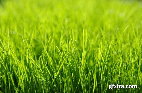 Stock Photos - Green grass 3, 25xJPG