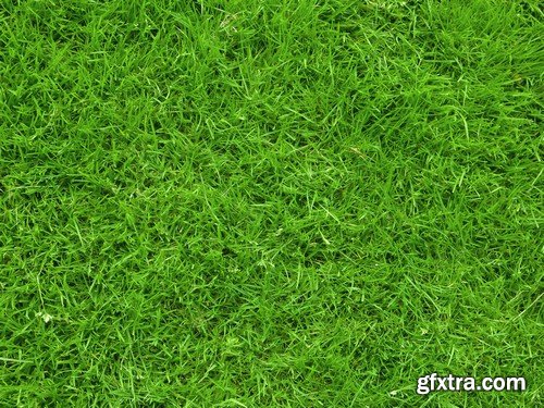 Stock Photos - Green grass 3, 25xJPG