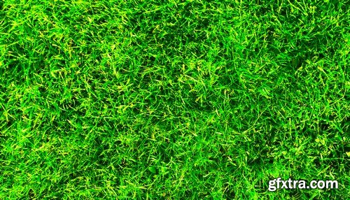 Stock Photos - Green grass 3, 25xJPG