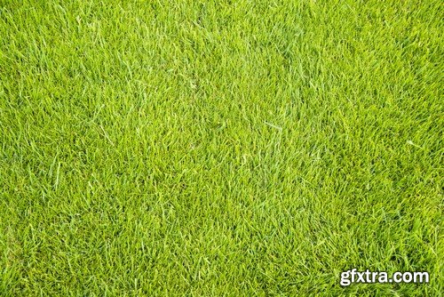 Stock Photos - Green grass 3, 25xJPG