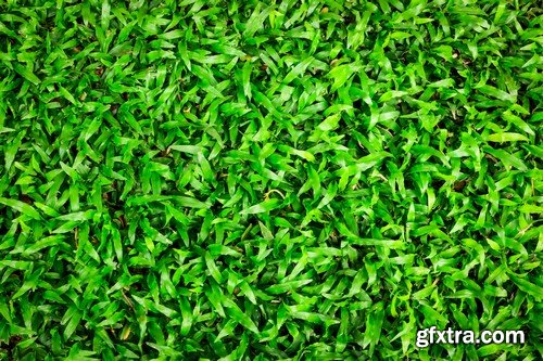 Stock Photos - Green grass 3, 25xJPG