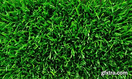 Stock Photos - Green grass 3, 25xJPG