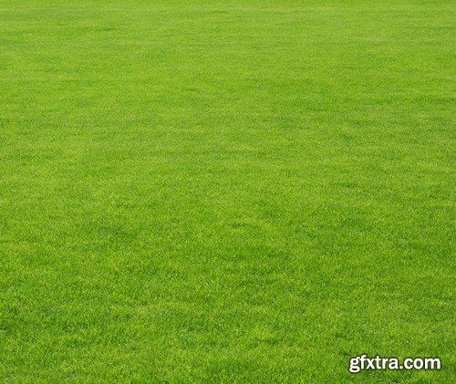 Stock Photos - Green grass 3, 25xJPG