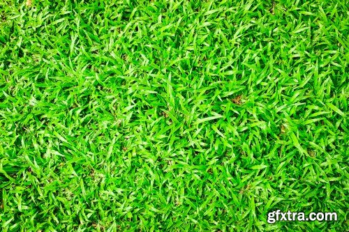 Stock Photos - Green grass 3, 25xJPG