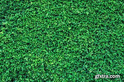 Stock Photos - Green grass 3, 25xJPG