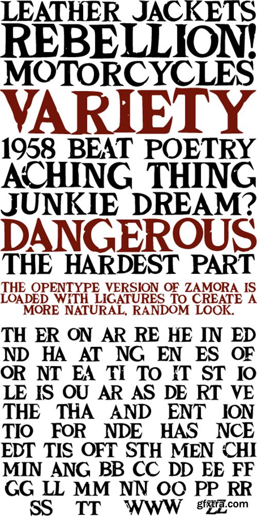 Zamora Font - 16 Font $30