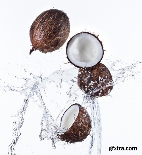 Stock Photos - Coconuts, 25xJPG