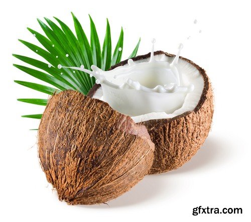 Stock Photos - Coconuts, 25xJPG