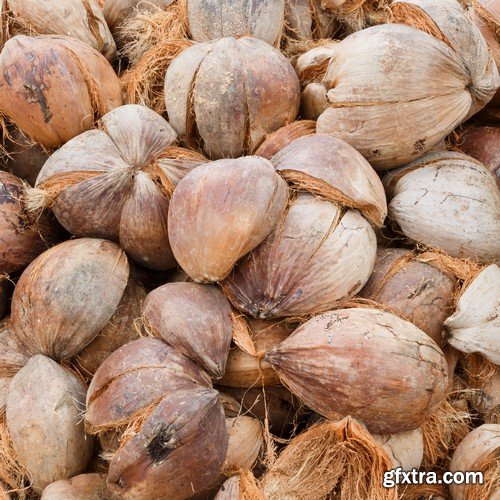 Stock Photos - Coconuts, 25xJPG