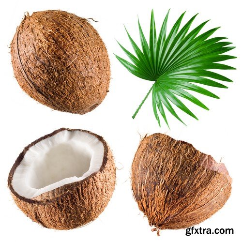 Stock Photos - Coconuts, 25xJPG