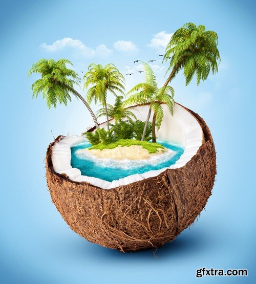 Stock Photos - Coconuts, 25xJPG