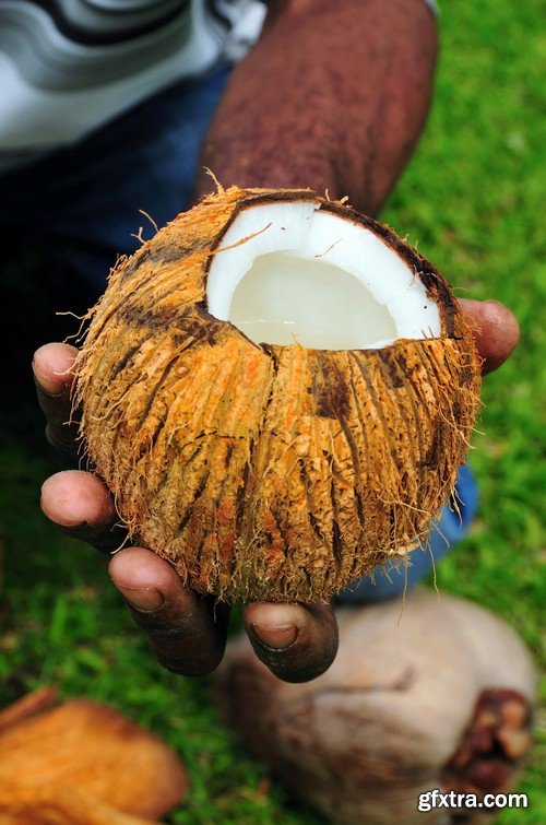 Stock Photos - Coconuts, 25xJPG