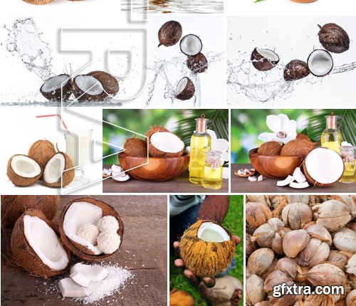 Stock Photos - Coconuts, 25xJPG