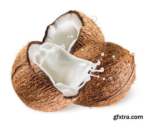 Stock Photos - Coconuts, 25xJPG