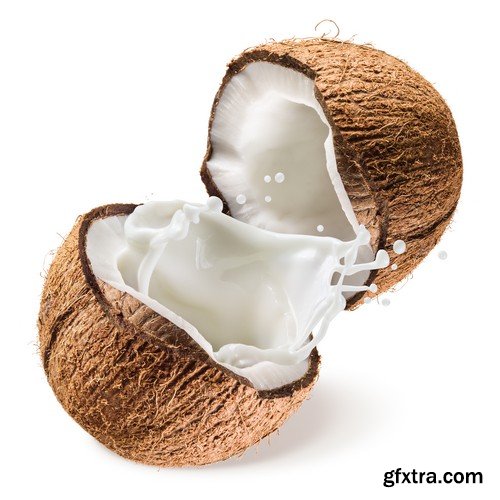 Stock Photos - Coconuts, 25xJPG