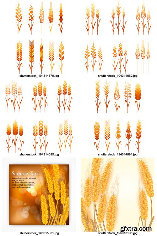 Amazing SS - Wheat Ears, 25xEPS