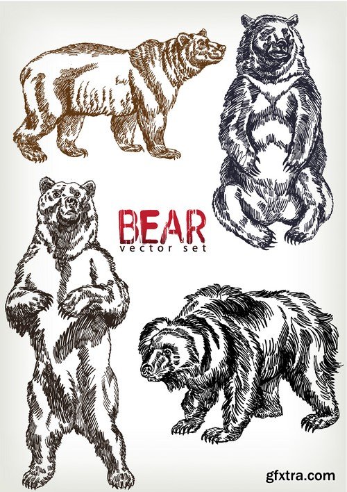 Stock Vectors - Bear 2, 25xEPS