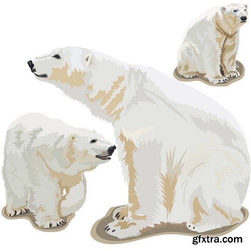 Stock Vectors - Bear 2, 25xEPS