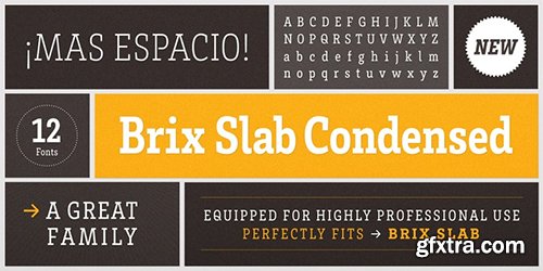 Brix Slab CondensedFont Family - 12 Font $480