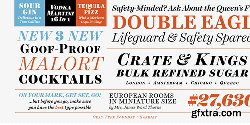 Harried Series Font Family - 20 Font $800