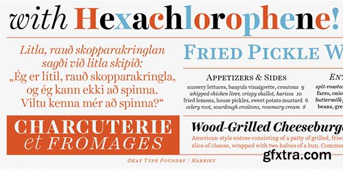 Harried Series Font Family - 20 Font $800