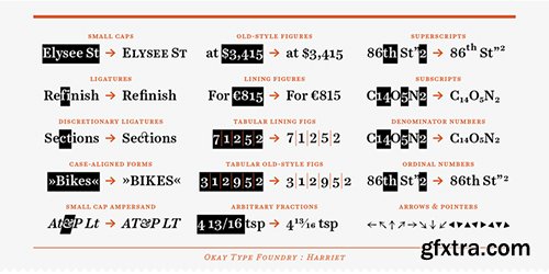 Harried Series Font Family - 20 Font $800