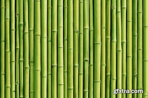 Stock Photos - Bamboo Stems, 25xJPG