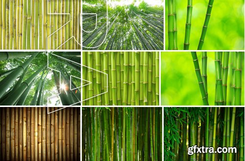 Stock Photos - Bamboo Stems, 25xJPG