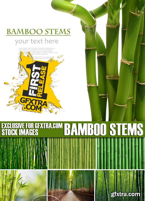 Stock Photos - Bamboo Stems, 25xJPG