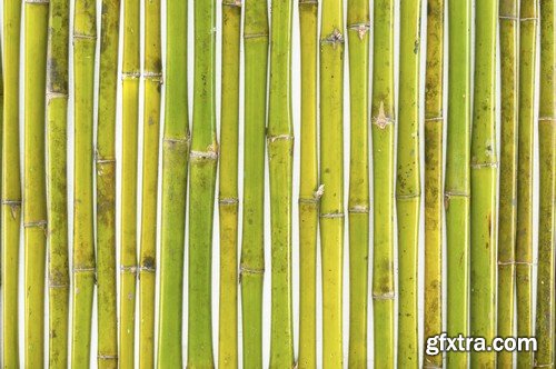 Stock Photos - Bamboo Stems, 25xJPG