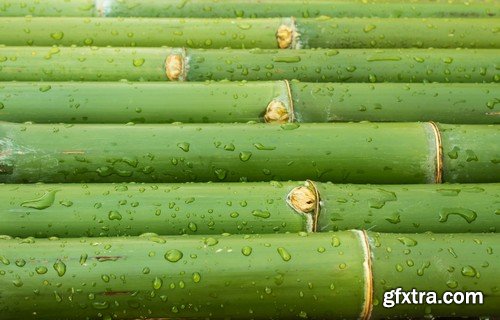 Stock Photos - Bamboo Stems, 25xJPG