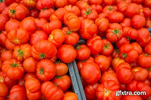 Stock Photos - Fresh vegetables, 25xJPG