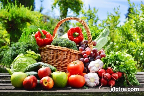 Stock Photos - Fresh vegetables, 25xJPG