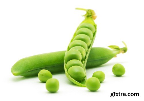 Stock Photos - Fresh vegetables, 25xJPG