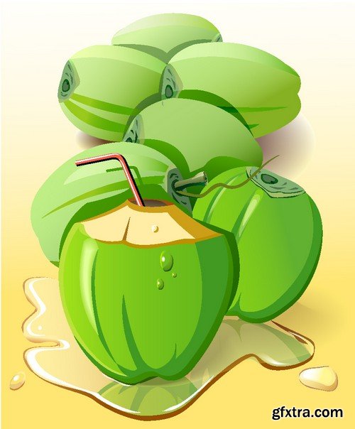 Stock Vectors - Coconuts 2