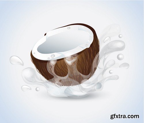 Stock Vectors - Coconuts 2