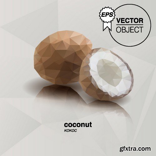 Stock Vectors - Coconuts 2