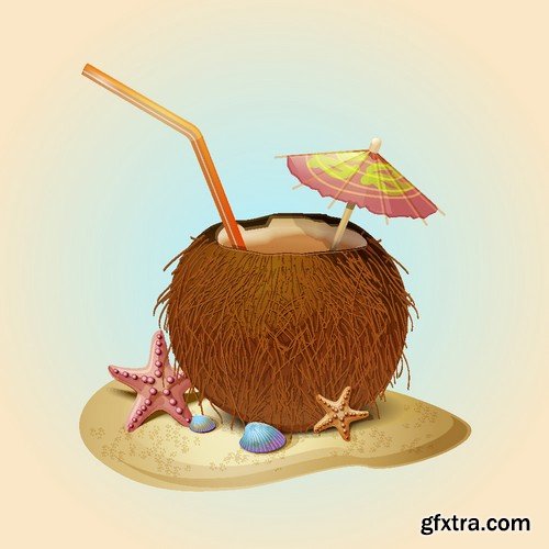 Stock Vectors - Coconuts 2