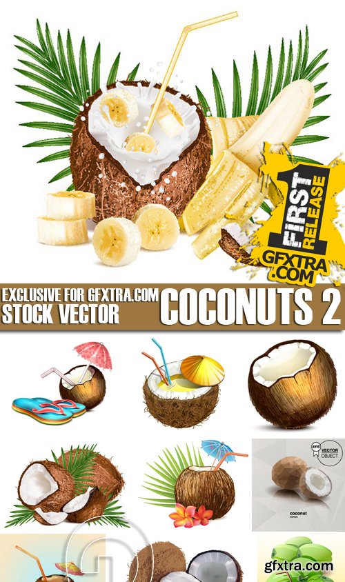 Stock Vectors - Coconuts 2