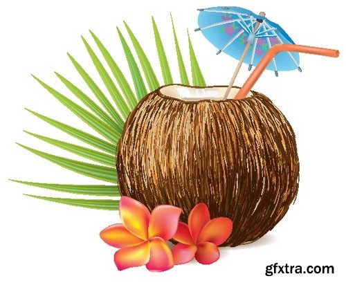 Stock Vectors - Coconuts 2