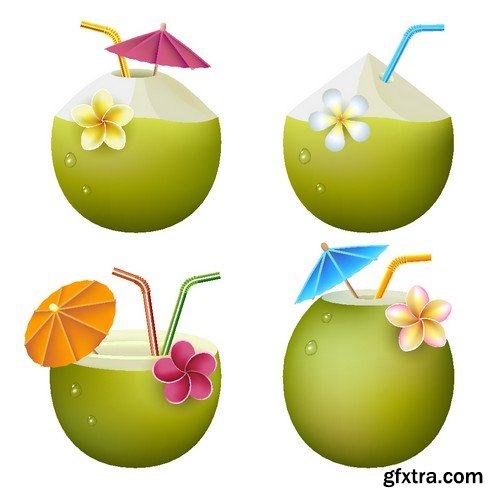 Stock Vectors - Coconuts 2