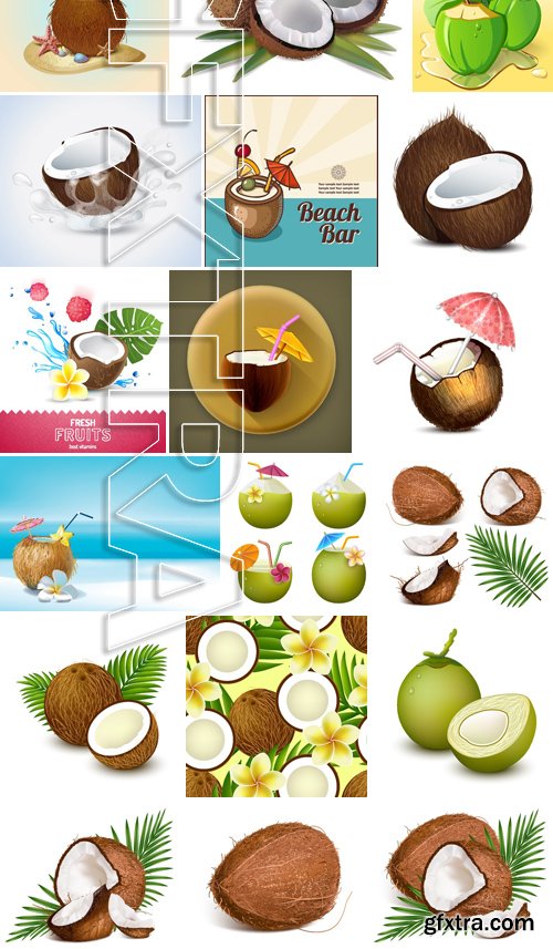 Stock Vectors - Coconuts 2