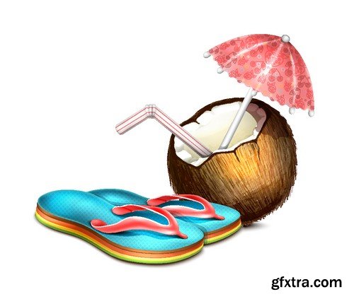 Stock Vectors - Coconuts 2