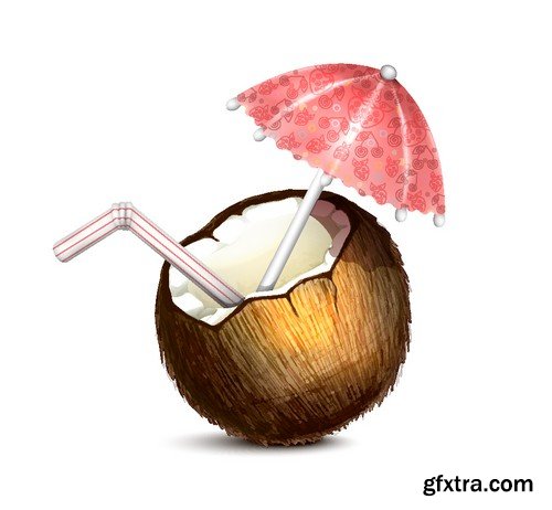 Stock Vectors - Coconuts 2