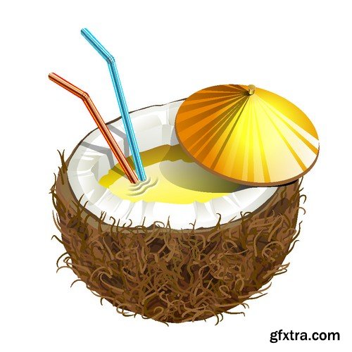 Stock Vectors - Coconuts 2