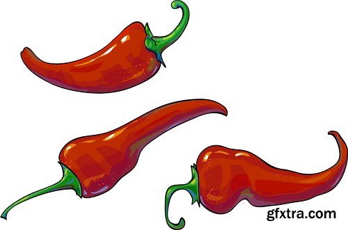 Chili Pepper, 25xEPS