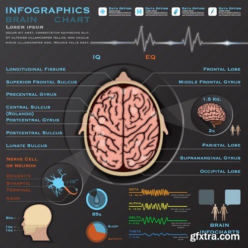 Stock Vectors - Medical Infographic 7, 25xEPS