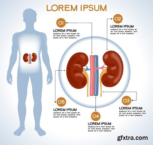 Stock Vectors - Medical Infographic 7, 25xEPS