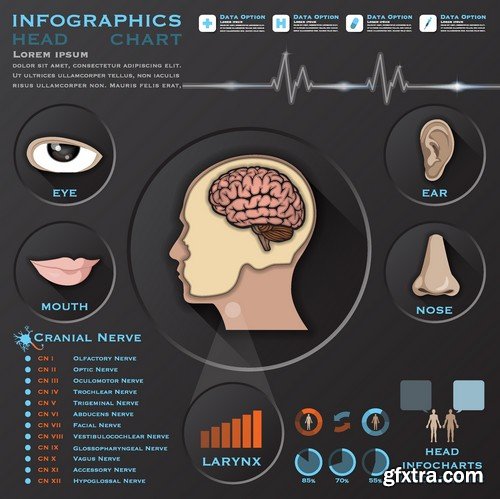 Stock Vectors - Medical Infographic 7, 25xEPS