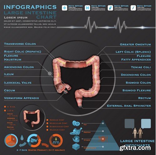 Stock Vectors - Medical Infographic 7, 25xEPS